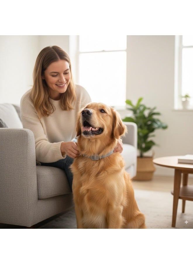 سعودي سيليكت طوق طارد للبراغيث والقراد للكلاب لمدة 8 أشهر، مقاس واحد يناسب الجميع، طوق طارد رمادي قابل للتعديل، يقتل ويطرد البراغيث والقراد واليرقات - Image 3