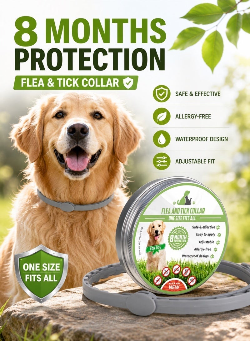 Saudi Select 8-Month Flea and Tick Collar for Dogs, One Size Fits All, Adjustable Grey Repellent Collar,  Kills & Repels Fleas, Ticks, and Larvae - Image 1