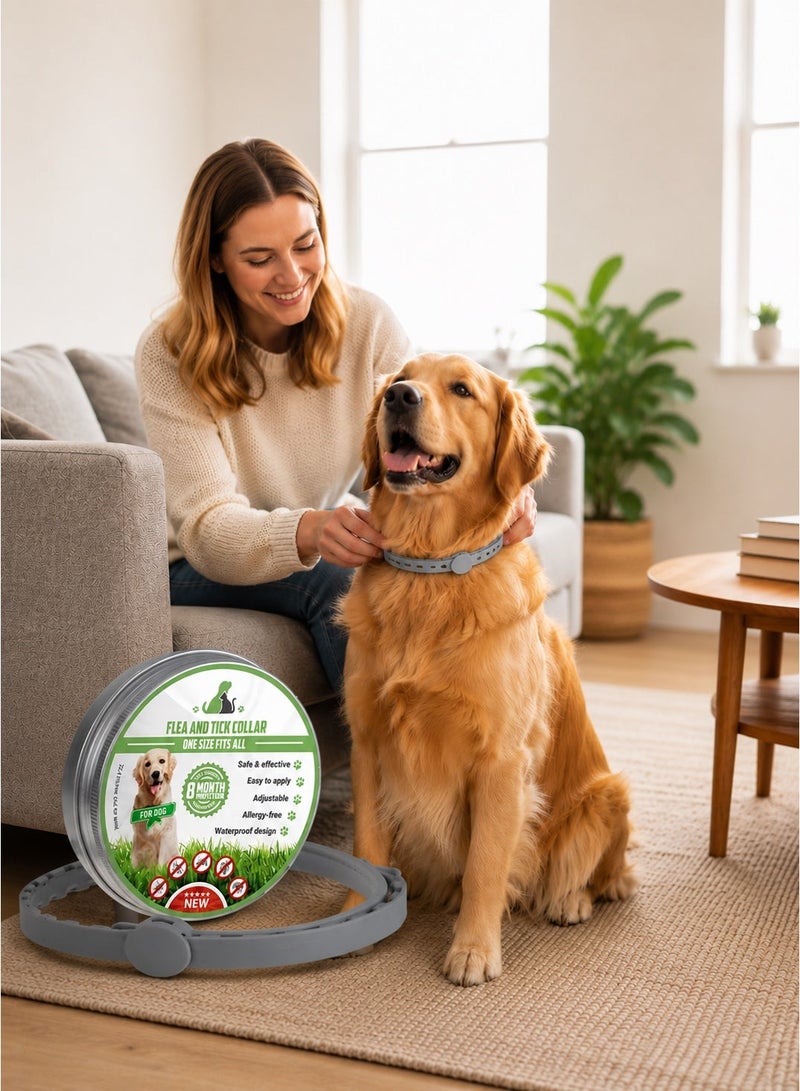 Saudi Select 8-Month Flea and Tick Collar for Dogs, One Size Fits All, Adjustable Grey Repellent Collar,  Kills & Repels Fleas, Ticks, and Larvae - Image 3