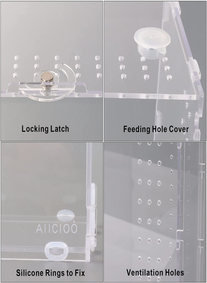 Aiicioo Micro Habitat Terrarium Enclosure 8x6x14 Inches Tarantula Enclosure Box Insect Habitat Clear Acrylic Reptile Feeding Tank for Jumping Spiders Insect Small Tree Dwelling Reptiles - Image 3