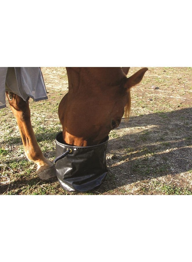 كاشيل دلو ماء قابل للطي كبير الحجم من كاشيل - Image 3