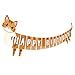 Adecortalk Cat Happy Birthday Banner Orange Cat Banner Bunting Flag Garland Party Decorations for Kids Boys Girls Birthday Baby Shower Carnival Party Supplies - Image 3