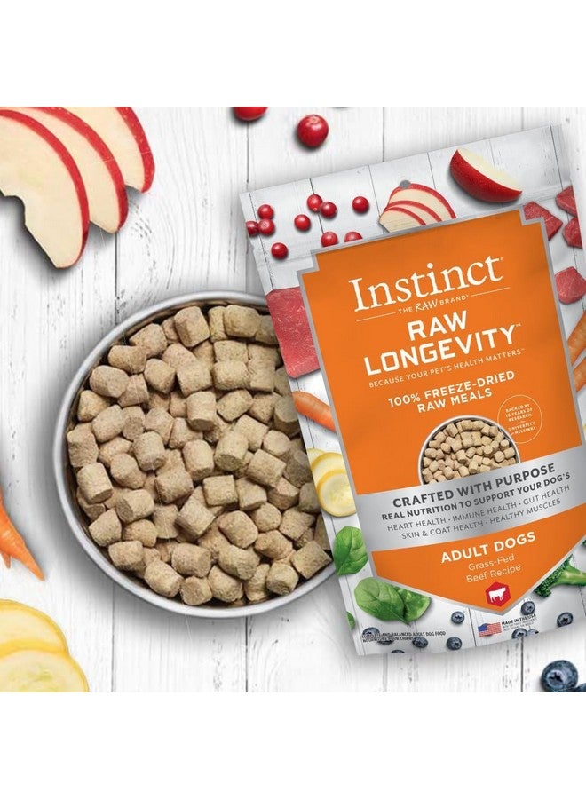 Instinct Nature's Variety NV Dog Longevity Freeze Dried Beef, 9.5 Ounce - Image 2