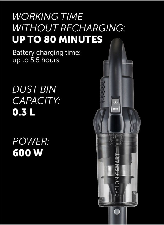 Cordless Vacuum Cleaner, Suction power 200, Inverter motor 600 W, 80 Mins Max Runtime, 2 Year Warranty - pzsku/Z33C67EA5C46747A8F774Z/45/_/1729515891/57a6c53a-5fd8-41dd-95ec-7088cf316677