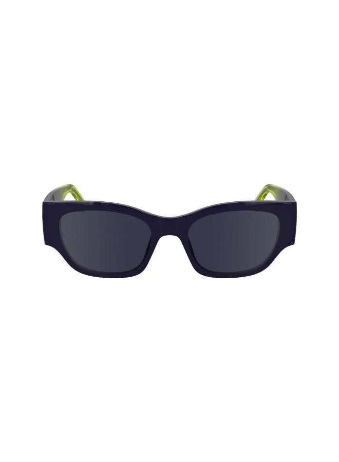 Wayfarers Sunglasses