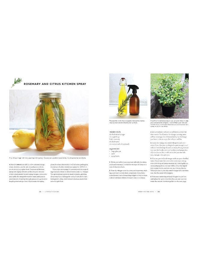 null - A Woman's Garden: Grow Beautiful Plants and Make Useful Things - Plants and Projects for Home, Health, Beauty, Healing, and More - Image 1
