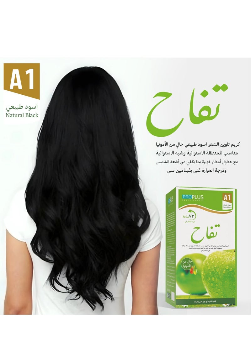 Ammonia Free Hair Color Cream - 500 ml Cream + 500 ml Developer - Apple (Natural Black A1)