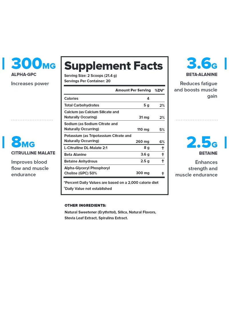 Legion Athletics - Pulse Stim Free Pre Workout,Boosts Strength, Endurance & Focus, with 8g of Citrulline Malate, 3.6 g of Beta-Alanine, 20 Servings 444 g/15.6Oz/0.97Lbs- Blue Raspberry Flavor - Image 1