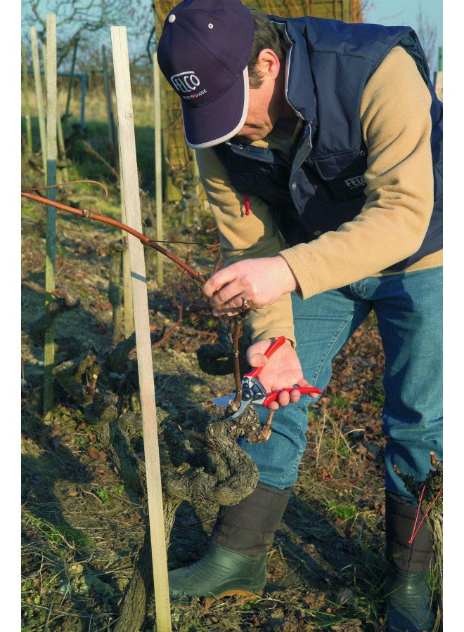 Felco Pruning Shears (F 11) - High Performance Swiss Made One-Hand Garden Pruner with Steel Blade