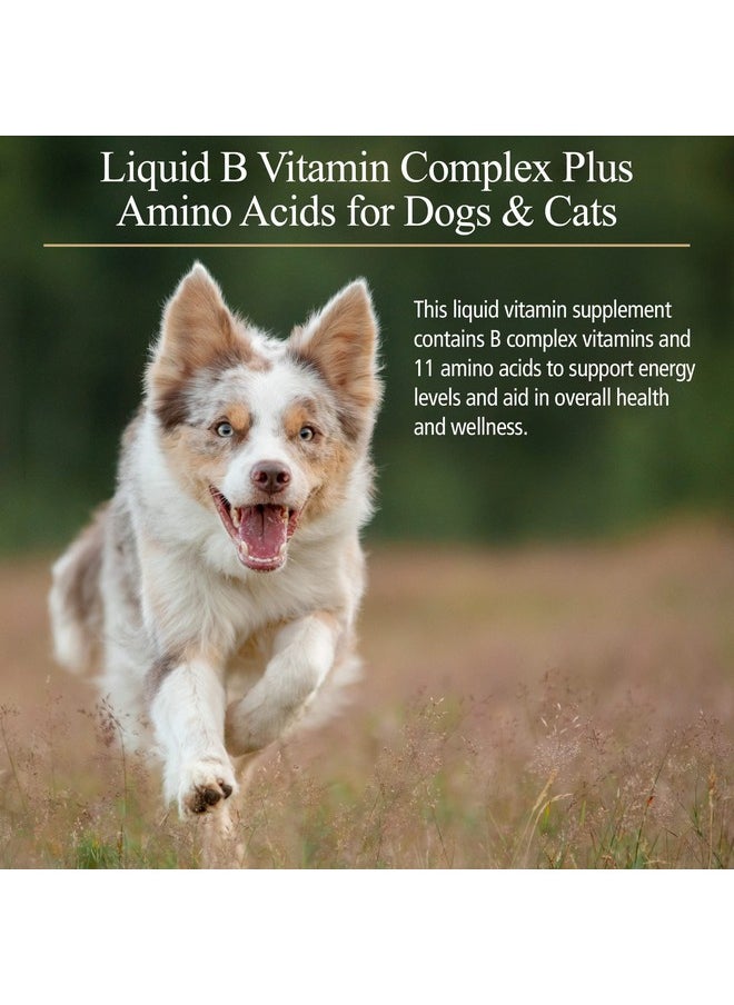 Rx Vitamins Amino B Plex For Pets  B Vitamin Complex Plus Amino Acids For Dogs & Cats  Vitamin Supplements For Dogs' & Cats' Total Body Support  4 Oz  - Image 2