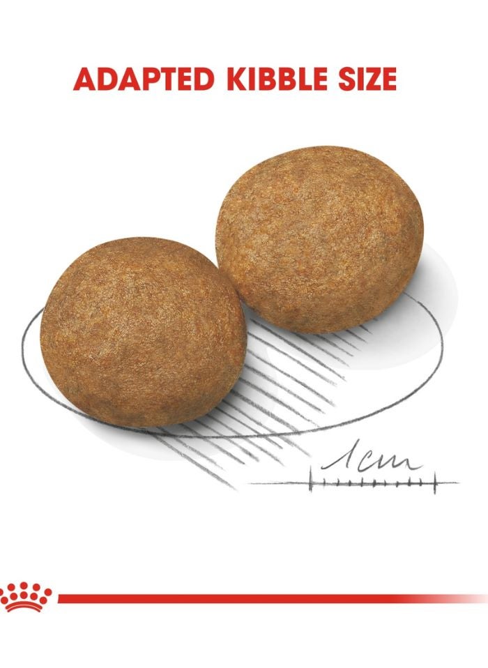 ROYAL CANIN Size Health Nutrition Medium Adult 10 KG - Image 2