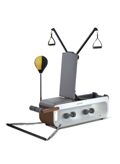 Multifunctional Fitness Bench for Full Body Workout/ Bench Press / Reverse Push / Dumbbell Row / Cable Crossover / Built in Wheels / Sofa Leather / Less Pain / Durability / Adjustability - Gray