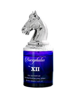 أرماف عطر Niche Bucephalus No.Xii Blue، أو دو بارفان 100 مل للرجال، عطور للرجال، عطر جديد  - Image 1