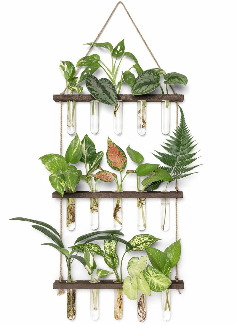 SOLARAE Wall Hanging Planter Terrarium with Wooden Stand, 3 Tiered Mini Test Tube Flower Vases Retro Hanging Glass Planter Propagator for Hydroponic Plants Cutting Home Office Garden Decor-15 Test Tubes - Image 1