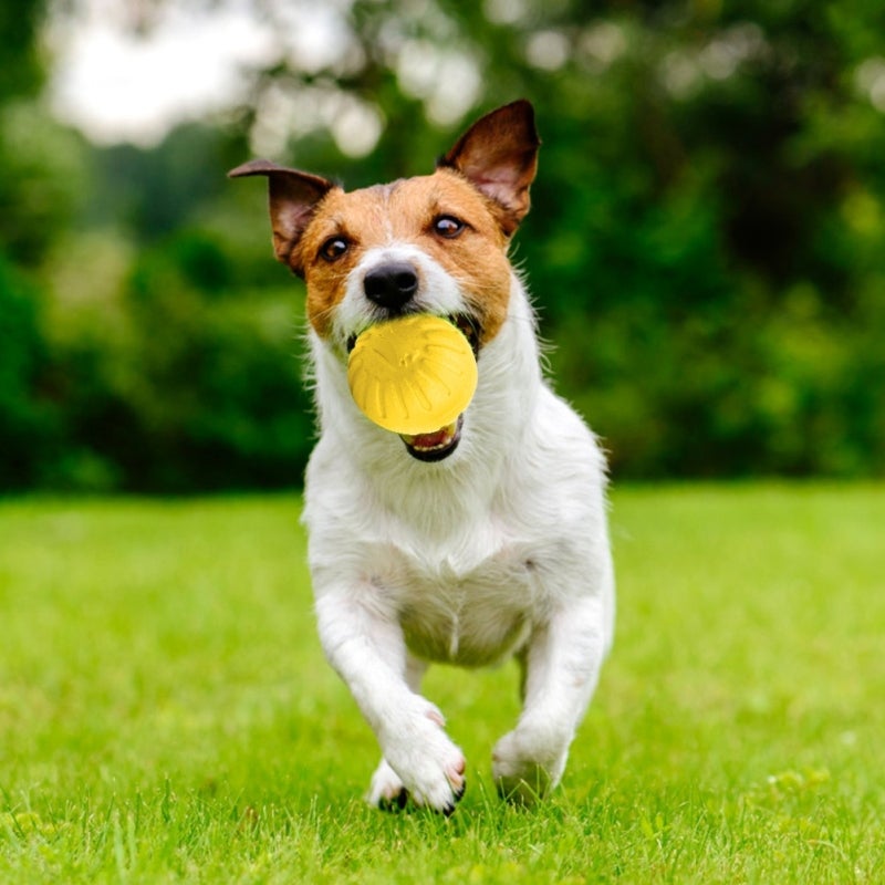 Dog Interactive Ball Toy: Yellow EVA Material - Bite Resistant Anti-wear Dog Chew Toy for Outdoor Play Pet Interaction Teeth Cleaning - Image 4