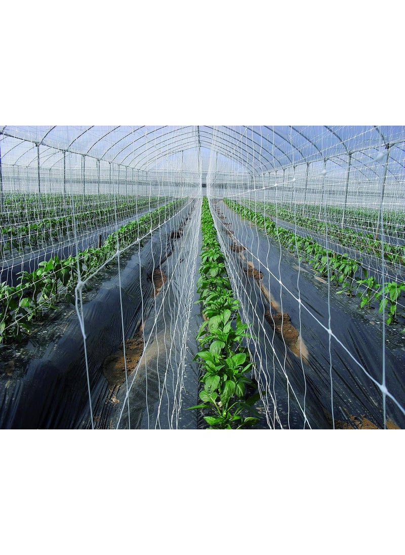 Tenax Tenax Hortonova Plant Trellis Net Lm 67 x 328 White  - Image 5
