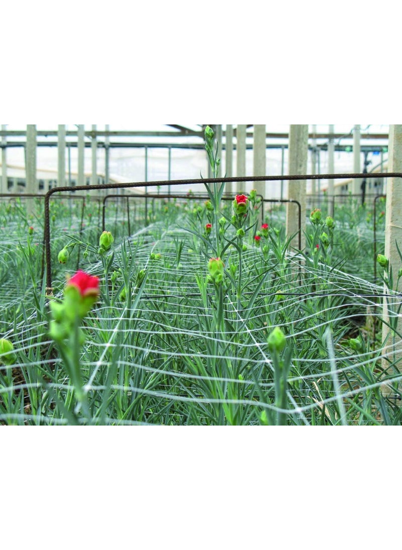 Tenax Tenax Hortonova Plant Trellis Net Lm 67 x 328 White  - Image 3
