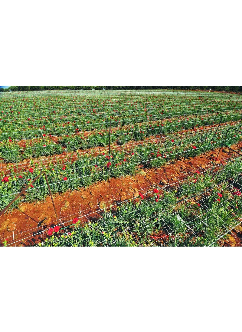 Tenax Tenax Hortonova Plant Trellis Net Lm 67 x 328 White  - Image 4