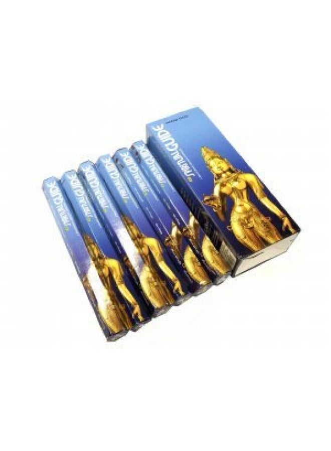 PadminiSpiritual Guide Stick Incense 120 Pack  6 x 21 Sticks