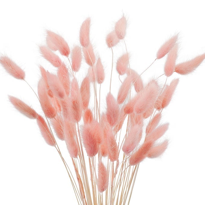 17 NATURAL BUNNY TAILS DRIED FLOWERS 50 PCS DRIED LAGURUS OVATUS DRIED PINK PAMPAS GRASS DECOR FOR FARMHOUSE FLOWER ARRANGEMENTS WEDDING HOME BOHO PARTY DECORATIONS