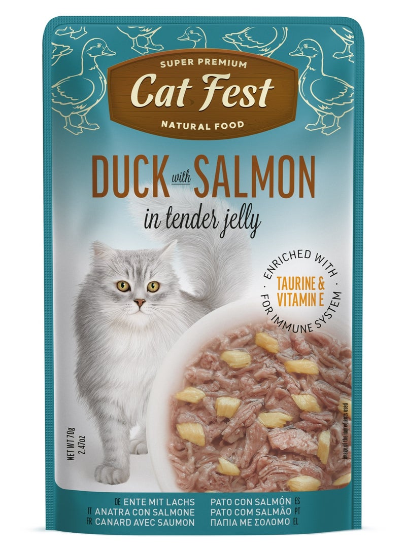 Cat Fest CatFest Duck with Salmon in Tender Jelly, Omega-3 Rich Wet Cat Food, Grain-Free, 70g Pouch  - Image 1