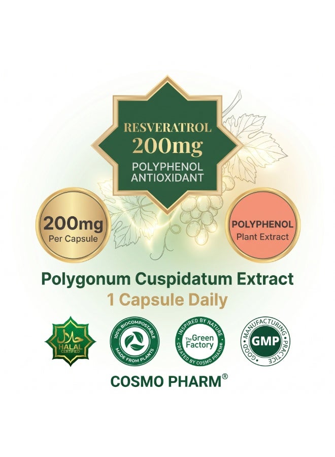 Cosmo Pharm Resveratrol 200mg with 50% Trans-Resveratrol | Antioxidant Support | 90 Vegetable Capsules - Image 5