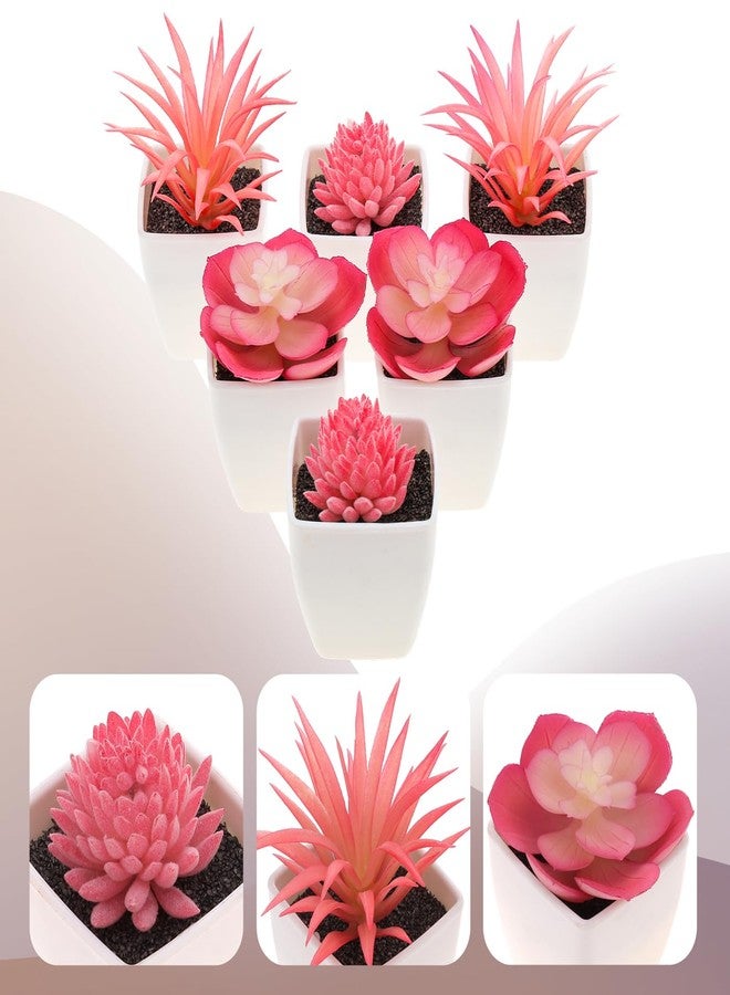 Woration 6Pcs Mini Artificial Succulent Plants Fake Plastic Succulents Potted for Garden Office Home Desk Decorations Floral Arrangement Craft- White Pots - Image 4