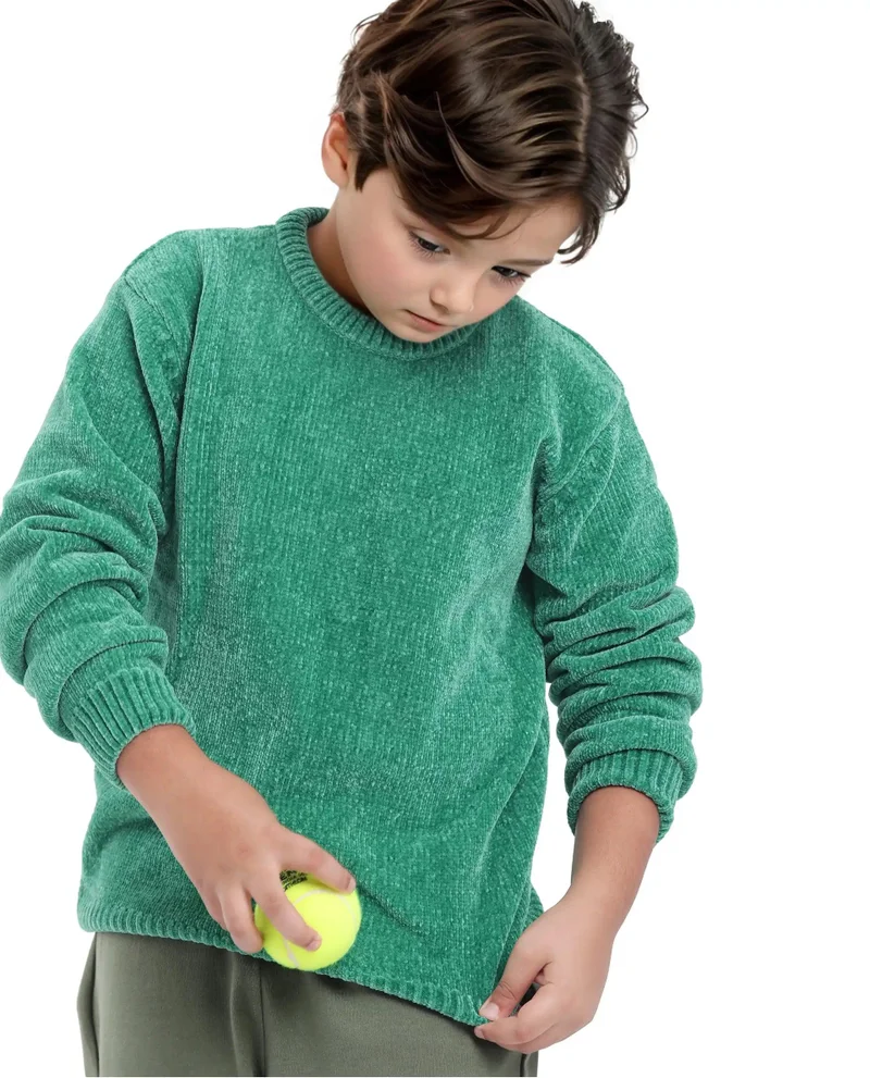 Rare Ones Rare Ones Kids Chenli Light Green Full Sleeve Solid Regular Fit Sweater
