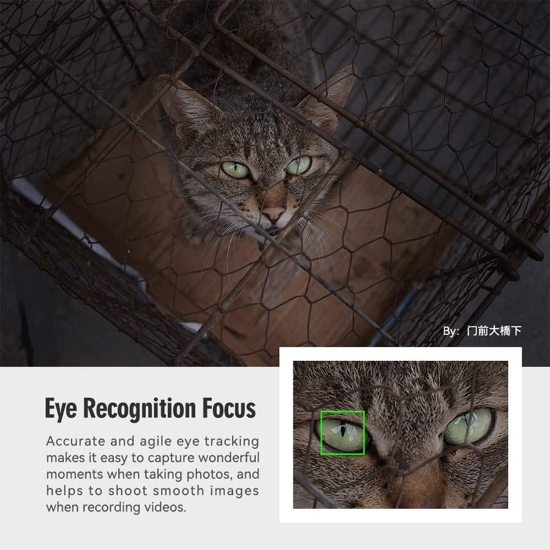 TTArtisan عدسة TTartisan 27mm F2.8 بتركيز تلقائي، متوافقة مع كاميرات فوجي X-Mount XS10 X-A5 X-A7 X-M1 X-M2 X-E4 X-T1 X-T10 X-T2 X-T20 X-T3 X-T4 X-T100 X-T200 X-T30 X-Pro1 X-Pro2 X-Pro3 X-E1 (أسود) - Image 4