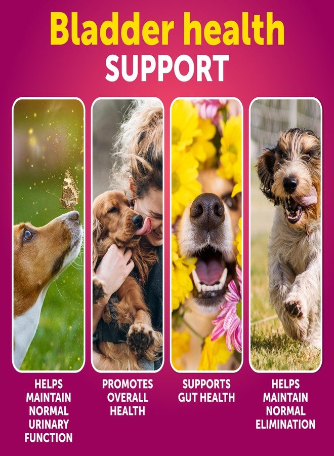 Artullano Dog UTI Treatment - Cranberry Supplement & Bladder Control for Dogs - Urinary Tract Infection Incontinence Pill, Bladder Stones - UTI Medicine Treats - 70 Soft Chews for Kidney Support with Fish Oil - Image 2