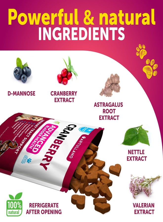 Artullano Dog UTI Treatment - Cranberry Supplement & Bladder Control for Dogs - Urinary Tract Infection Incontinence Pill, Bladder Stones - UTI Medicine Treats - 70 Soft Chews for Kidney Support with Fish Oil - Image 3