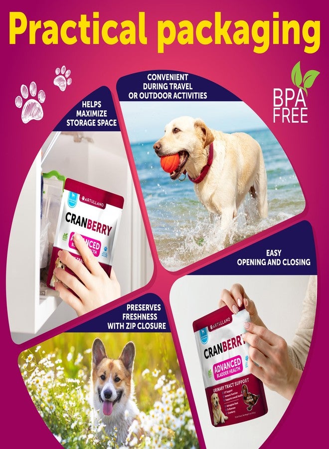 Artullano Dog UTI Treatment - Cranberry Supplement & Bladder Control for Dogs - Urinary Tract Infection Incontinence Pill, Bladder Stones - UTI Medicine Treats - 70 Soft Chews for Kidney Support with Fish Oil - Image 5
