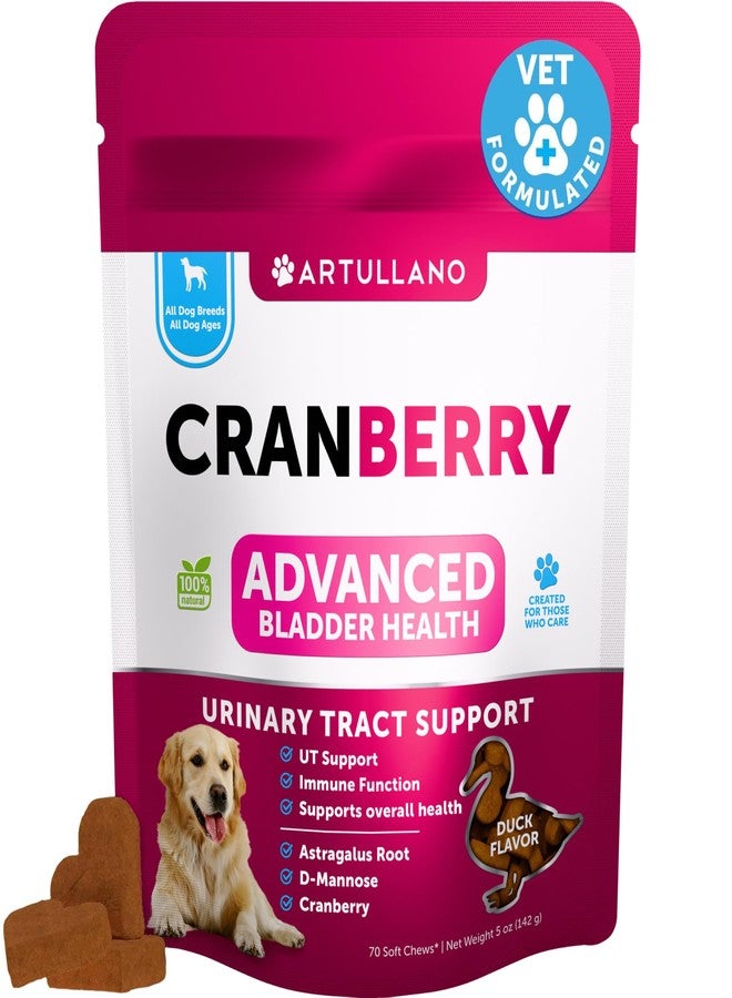 Artullano Dog UTI Treatment - Cranberry Supplement & Bladder Control for Dogs - Urinary Tract Infection Incontinence Pill, Bladder Stones - UTI Medicine Treats - 70 Soft Chews for Kidney Support with Fish Oil - Image 1