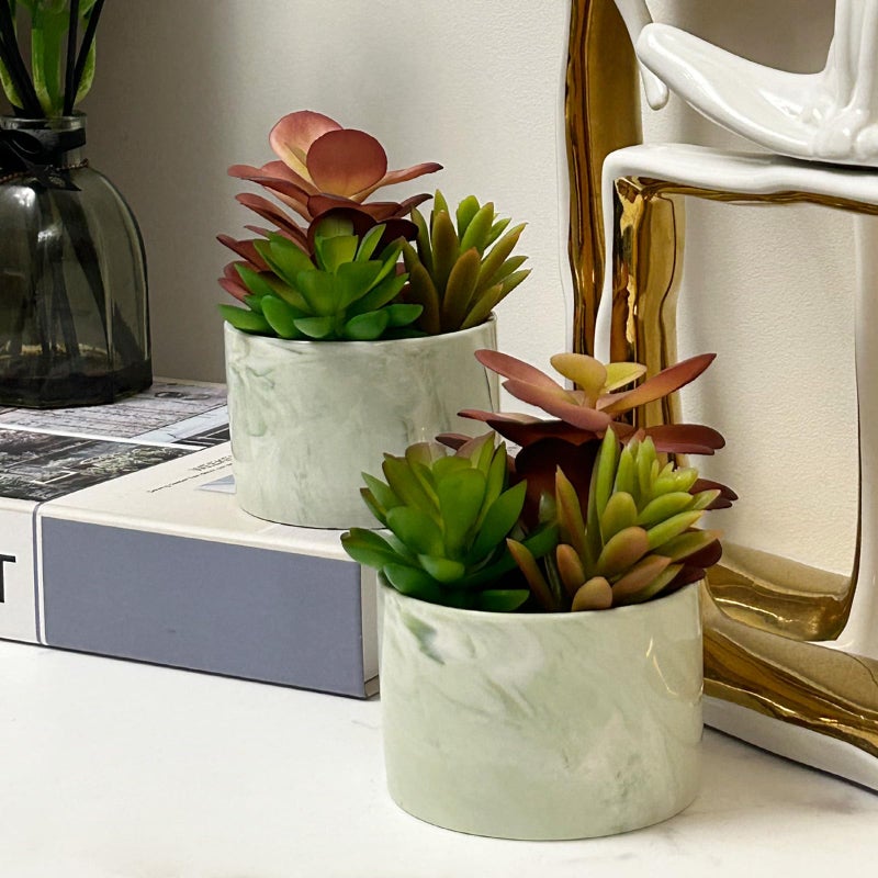 Karlliu Artificial Plants Cute Colourful Succulents in Ceramic Planter Fake Plant Flowers Potted for Home Living Room Office Desk Decor Bathroom Bedroom Indoor Decoration - Image 5