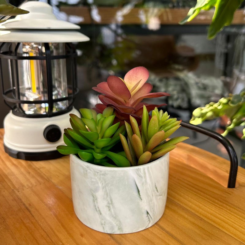 Karlliu Artificial Plants Cute Colourful Succulents in Ceramic Planter Fake Plant Flowers Potted for Home Living Room Office Desk Decor Bathroom Bedroom Indoor Decoration - Image 3