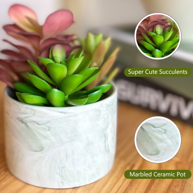 Karlliu Artificial Plants Cute Colourful Succulents in Ceramic Planter Fake Plant Flowers Potted for Home Living Room Office Desk Decor Bathroom Bedroom Indoor Decoration - Image 2