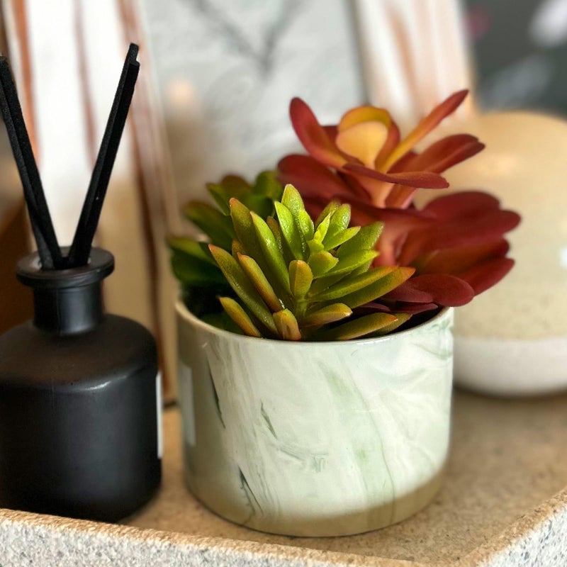 Karlliu Artificial Plants Cute Colourful Succulents in Ceramic Planter Fake Plant Flowers Potted for Home Living Room Office Desk Decor Bathroom Bedroom Indoor Decoration - Image 4