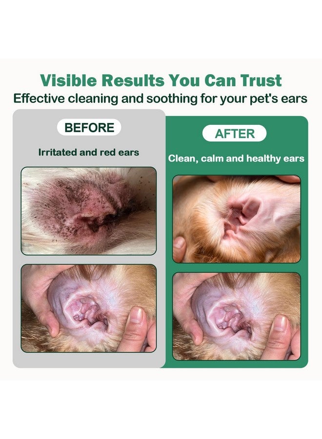CuteBone CuteBone Dog Anti-Itch Ear Flush - Cleans & Removes Wax Odor, Deodorizes, Soothes Ear Inflammation for Pet - Easy Ear Wash Care Solution - Ear Cleaner 4 fl.oz & 30 Cotton Swabs Kit  - Image 3