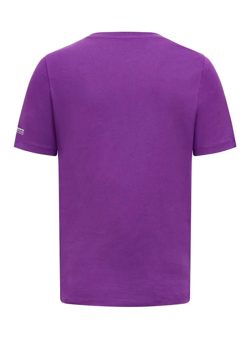 AMG Petronas Formula 1 Team  Mercedes-AMG Lewis Hamilton LH44 T-shirt for Men | Best Price UAE