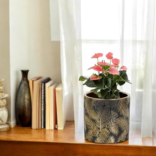 FOX & FERN Premium Ceramic Planter with Drainage-Hole for Vibrant Garden (GA133B-055-GB) | Enhance The Ambiance of Your Home, Office or Garden (Dia. 5") - Image 3