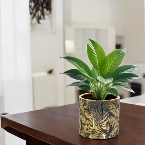 FOX & FERN Premium Ceramic Planter with Drainage-Hole for Vibrant Garden (GA133B-055-GB) | Enhance The Ambiance of Your Home, Office or Garden (Dia. 5") - Image 5