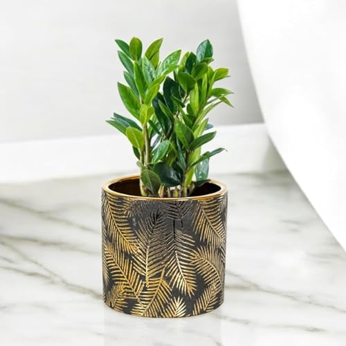 FOX & FERN Premium Ceramic Planter with Drainage-Hole for Vibrant Garden (GA133B-055-GB) | Enhance The Ambiance of Your Home, Office or Garden (Dia. 5") - Image 2
