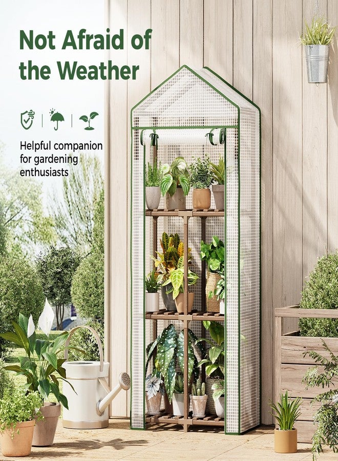 Bamworld Mini Greenhouse for Outdoor 3-Tierd Reusable Portable Warm House with PE Cover Compact Garden and Backyards Portable Rack with Sturdy Eucalyptus Frame Winter-Proof for Plant Protection - Image 3