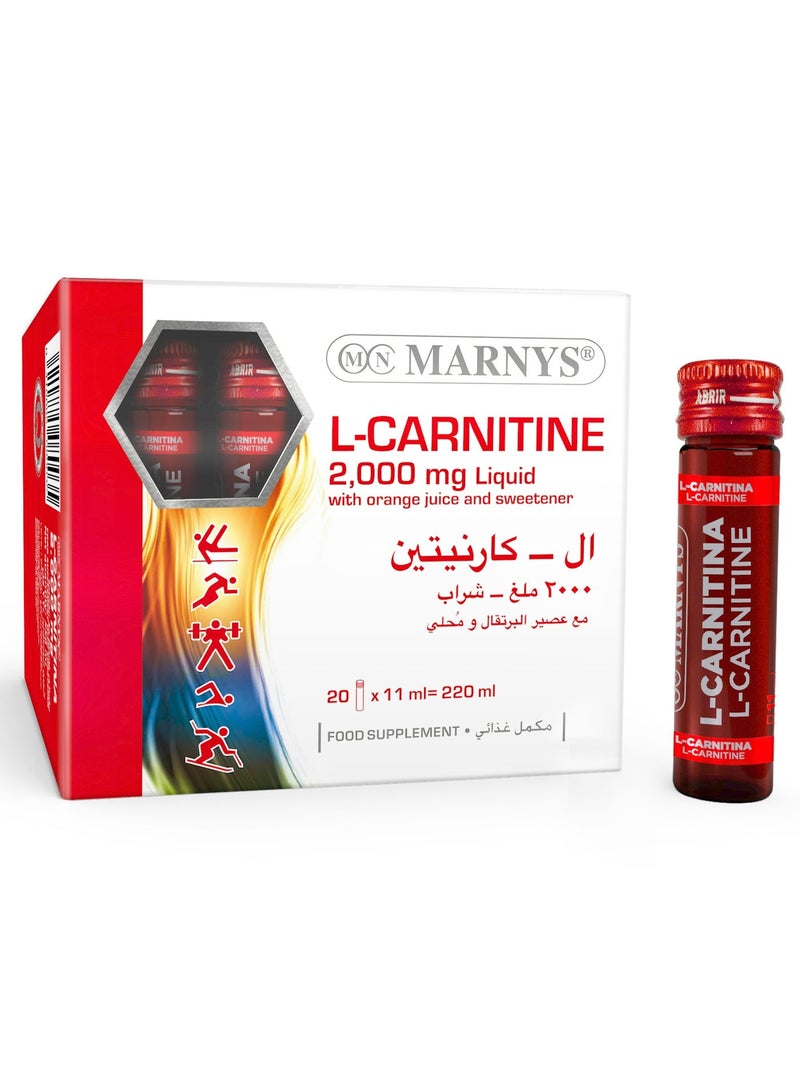 Marnys L-Carnitine 2000 mg - Liquid Fat Burner - Weight Loss Support - Muscle Recovery - Boosts Physical Performance & Metabolism - 20 Drinkable Vials  - buy 1 get 1 free - Image 2