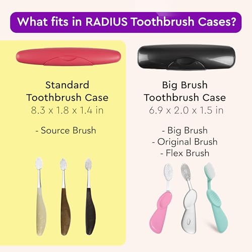 RADIUS Toothbrush Travel Case for Standard Brush, BPA-Free Recycled Plastic, Portable for Bathroom, School, Home, Camping - Light Blue (FITS All Conventional Toothbrush and RADIUS Source Toothbrush) - Image 2