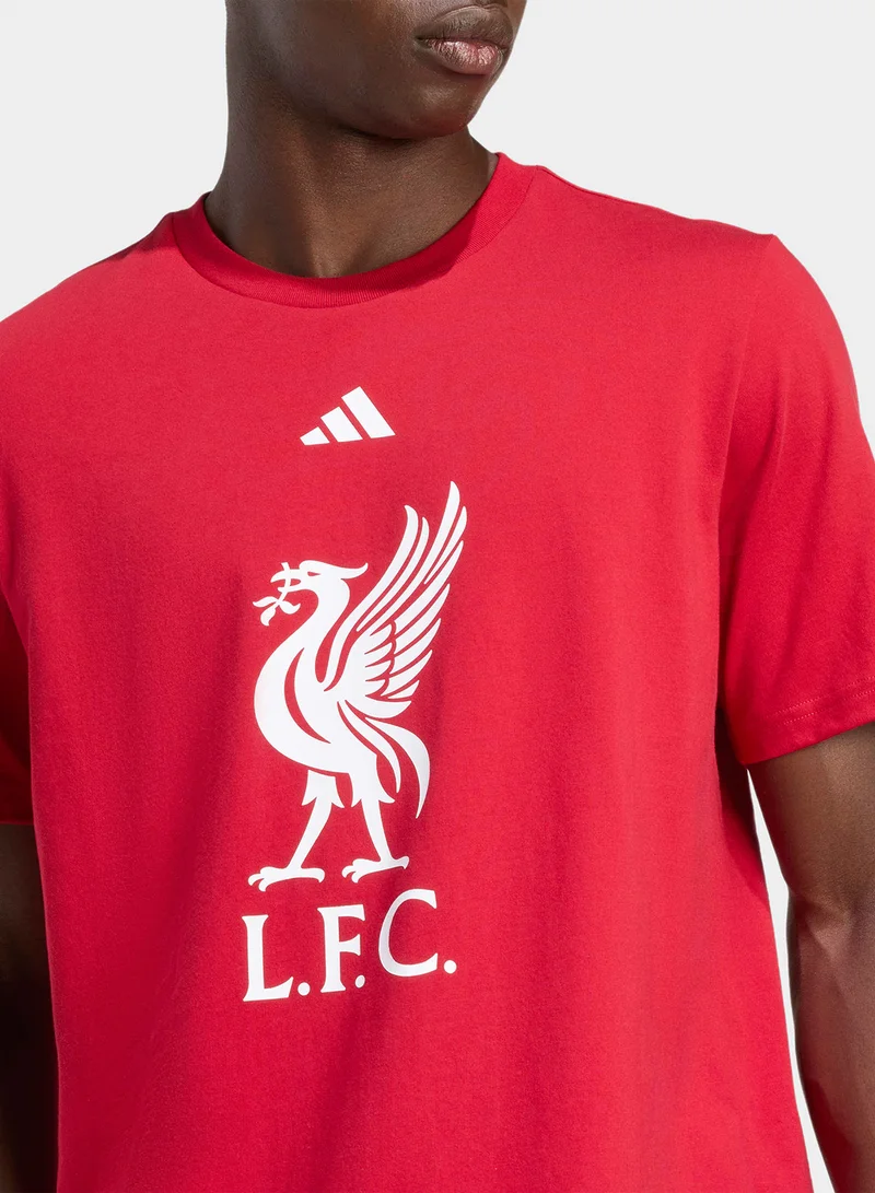 Adidas Liverpool Fc Dna Graphic T-Shirt