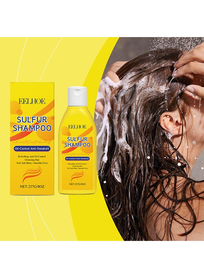 إيلهو شامبو EELHOE Sulfur Oil Control المضاد للقشرة غني بالعناصر الغذائية مثل حمض الهيالورونيك ومستخلص الشاي، الذي ينظف الشعر بلطف ويعتني به ويحسن الشعر الجاف والمجعد. - Image 2