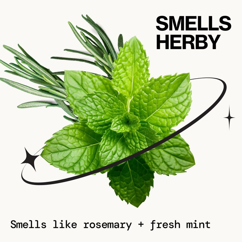 Pacifica Rosemary Mint Scalp Detox Shampoo â€“ Clarifying Shampoo for Dry Flaky Scalp, Removes Buildup & Excess Oil, Invigorating Rosemary + Mint Clean Beauty Vegan Dermatologist Tested - Image 4