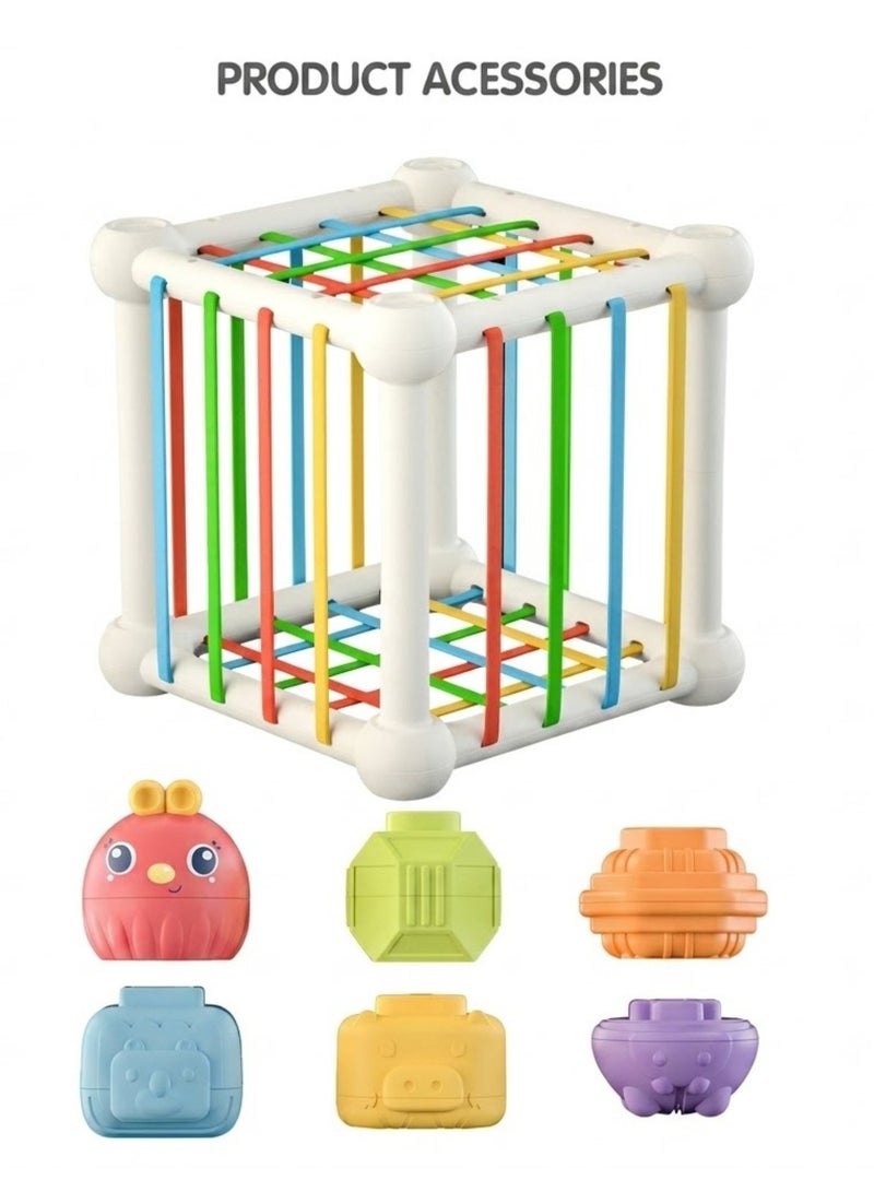 TOY GARDEN Montessori Baby Shape Sorter Toy – Colorful Sensory Cube with 6 Blocks | Educational Learning Toy for Toddlers 6-12-18 Months - Image 2