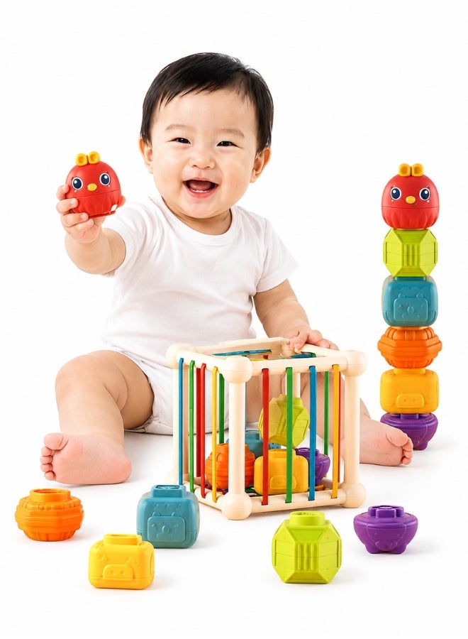 TOY GARDEN Montessori Baby Shape Sorter Toy – Colorful Sensory Activity Cube with 6 Shape Blocks, Interactive Shape Matching & Sorting Toy for Toddlers and Kids - Image 1